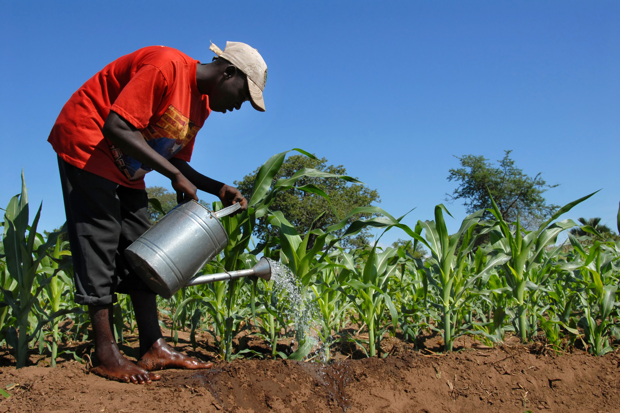 Climate-smart farming